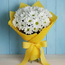 Букет цветов из:  Хризантемы в Белом Яре Республики Хакасия
