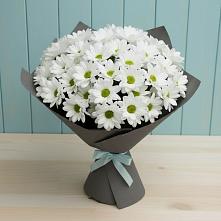 Букет цветов из:  Хризантемы #REPLACE_PRED# Белом Яре Республики Хакасия