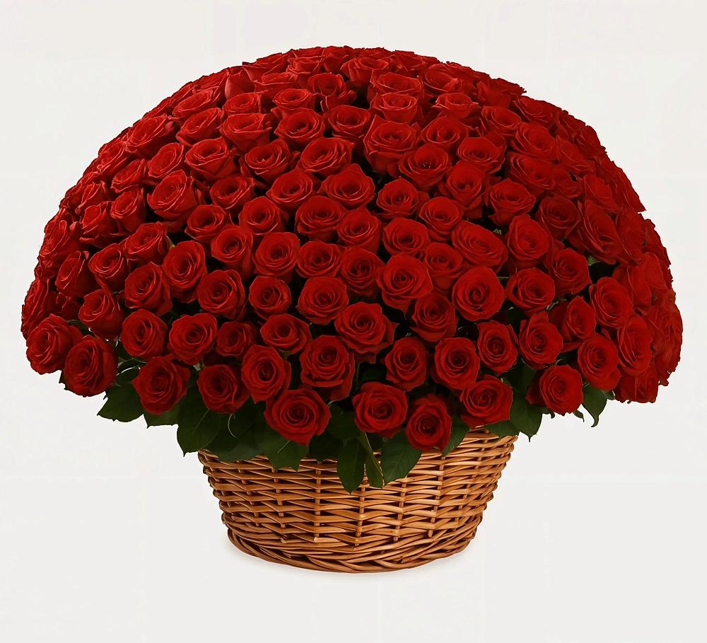 Премиум букет из: Розы в Белом Яре Республики Хакасия