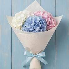 Букет цветов из:  Гортензия в Белом Яре Республики Хакасия