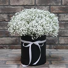Цветочная композиция из Гипсофила в шляпной коробке #REPLACE_PRED# Белом Яре Республики Хакасия
