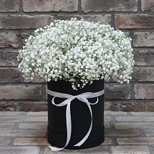 Цветочная композиция из Гипсофила в шляпной коробке в Белом Яре Республики Хакасия