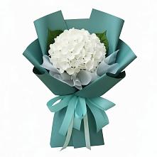 Букет цветов из:  Гортензия в Белом Яре Республики Хакасия